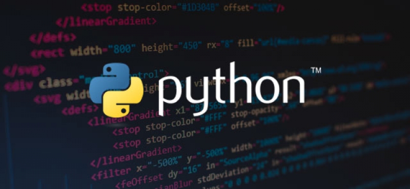 O que é Python? Corel Draw, Photoshop, SublimaÃ§Ã£o, animais, plantas, excel, word, phptoshop, quarentena 