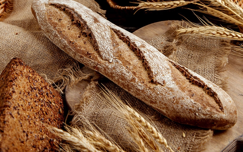 Padarias em  Corel Draw, Photoshop, SublimaÃ§Ã£o, animais, plantas, excel, word, phptoshop, quarentena 