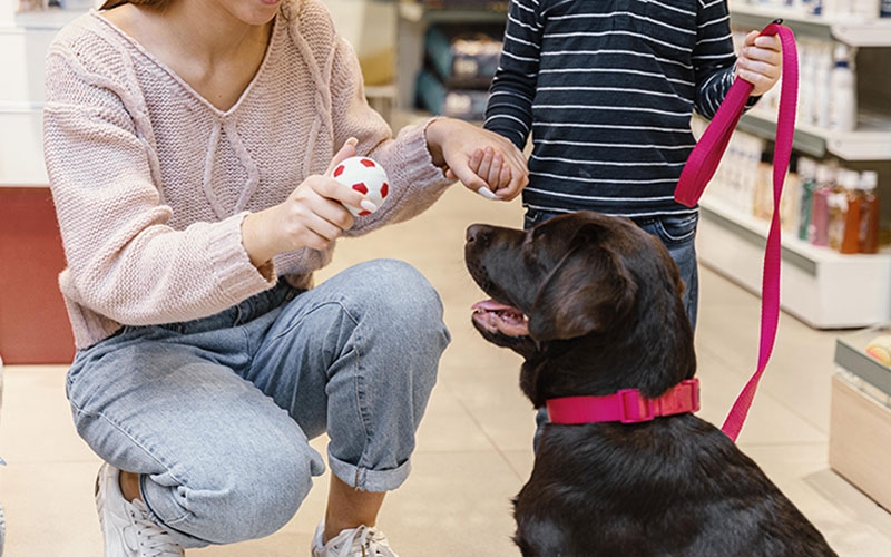 Quais são melhores pet shops  ? Corel Draw, Photoshop, SublimaÃ§Ã£o, animais, plantas, excel, word, phptoshop, quarentena 