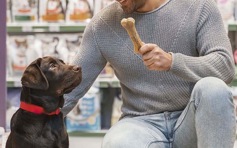 Quais são melhores pet shops  ? Cursos online, amigurumi, renda extra, dinheiro em casa, crochÃª 